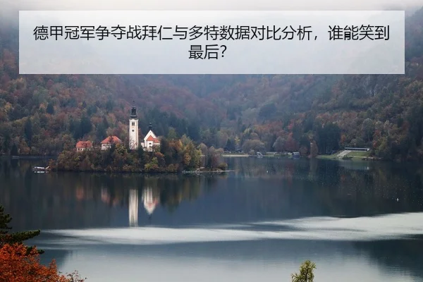 德甲冠军争夺战拜仁与多特数据对比分析，谁能笑到最后？