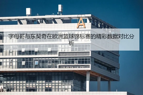 字母哥与东契奇在欧洲篮球锦标赛的精彩数据对比分析